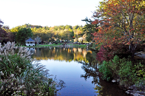 fall colors and reflection