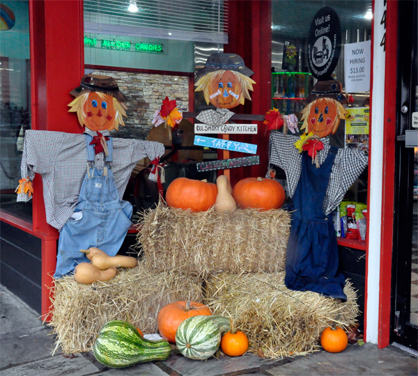 Halloween Display