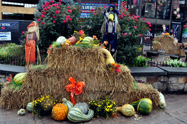 Halloween hay display