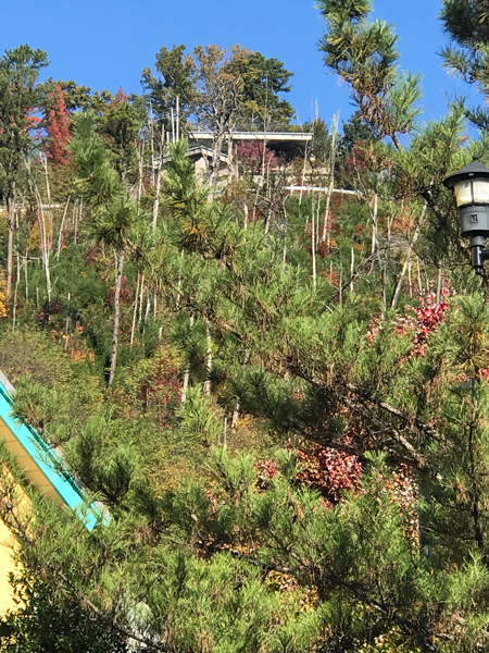 house high up on the hill