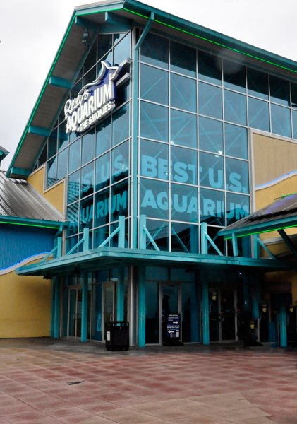 Ripley's Aquarium