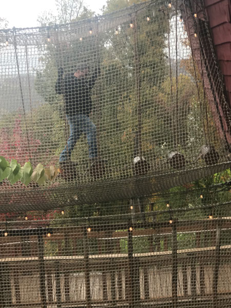 John on the rope course