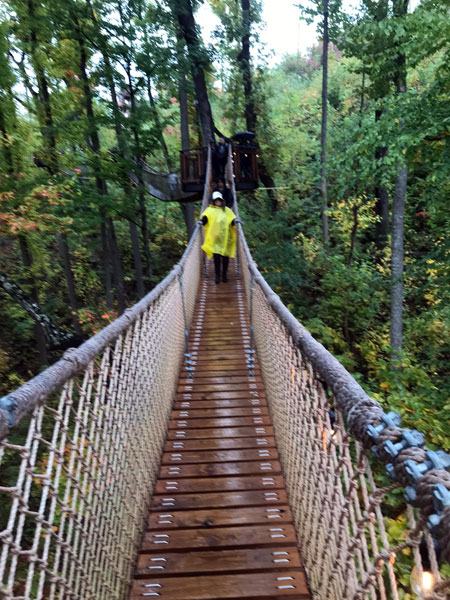 Karen Duquette on The Treetop Skywalk