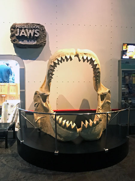 7-foot jaws