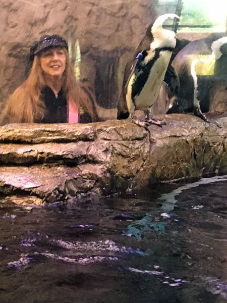 Karen Duquette in the tube behind the penquins