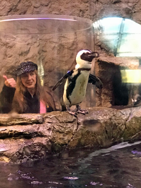 Karen Duquette in the tube behind the penquins