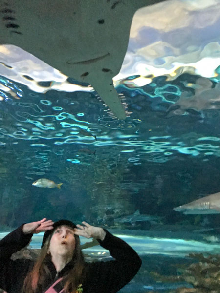 sawshark and Karen Duquette