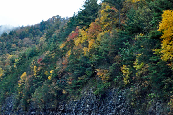 Fall Foliage on the Blue Ridge Parkway