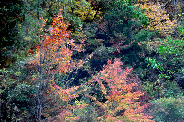 Fall Foliage on the Blue Ridge Parkway