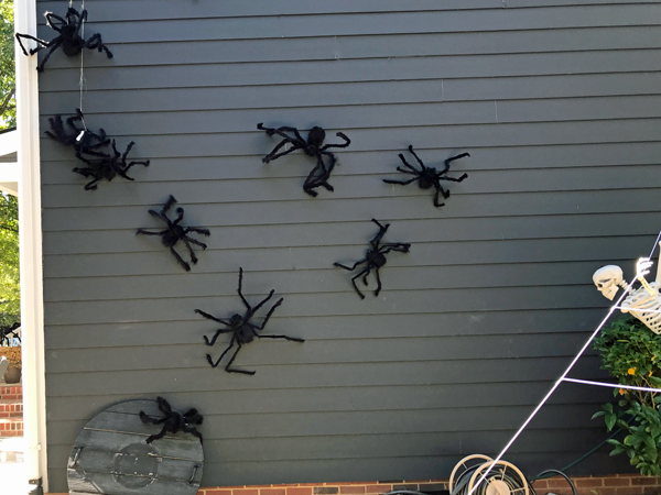 spiders on a house