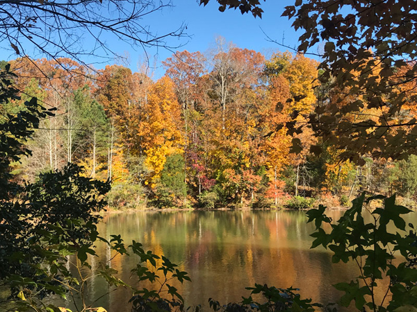 Fall foliage at The Greenway