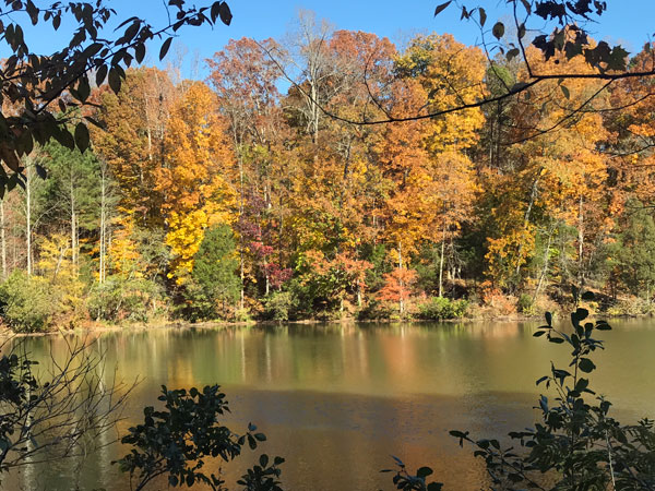 Fall foliage at The Greenway