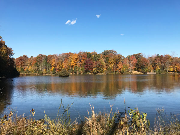 Fall foliage at The Greenway