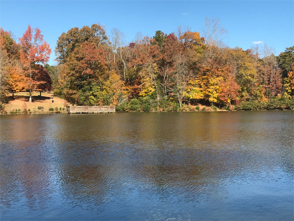 Fall foliage at The Greenway