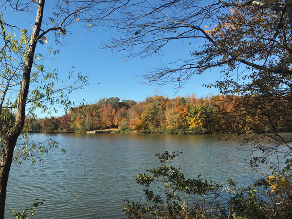 Fall foliage at The Greenway