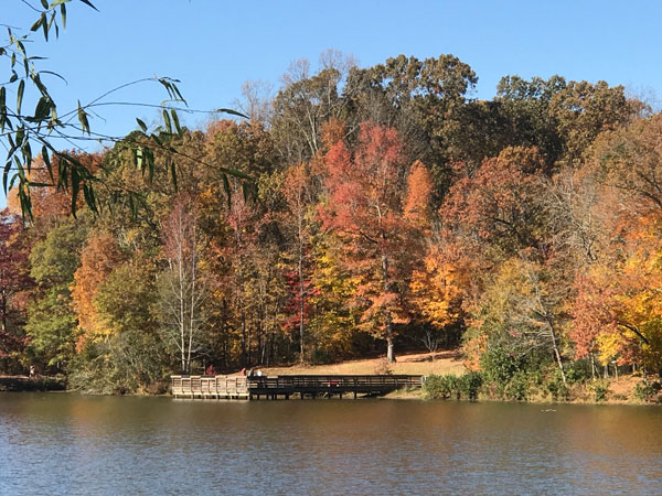 Fall foliage at The Greenway