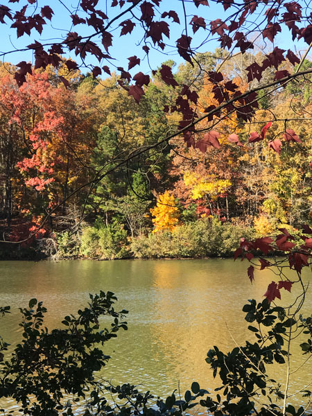 Fall foliage at The Greenway