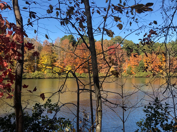 Fall foliage at The Greenway