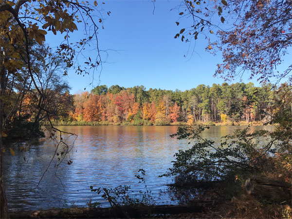 Fall foliage at The Greenway