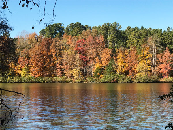 Fall foliage at The Greenway