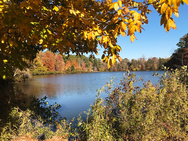 Fall foliage at The Greenway