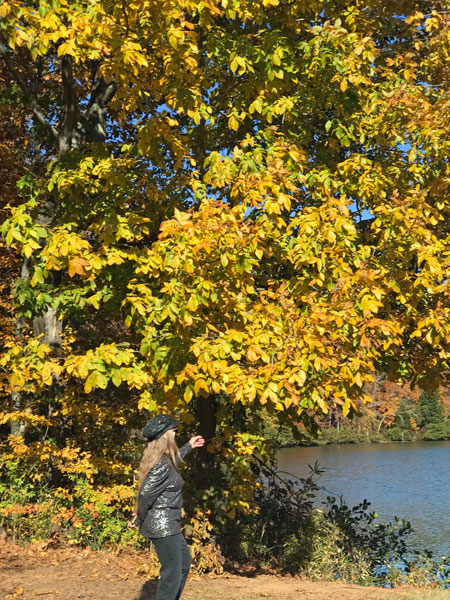 Karen Duquette admires the fall foliage