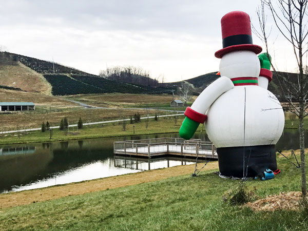 Frosty looking at the small pond