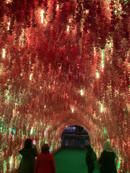 color changing tunnel