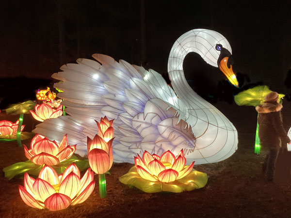 swan and flowers