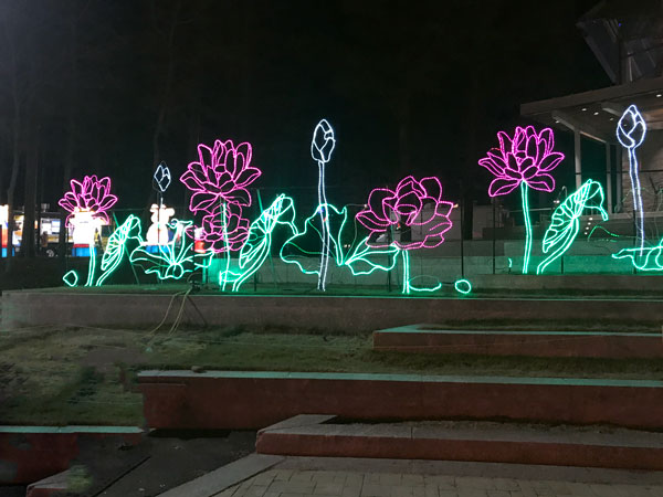 flowers
