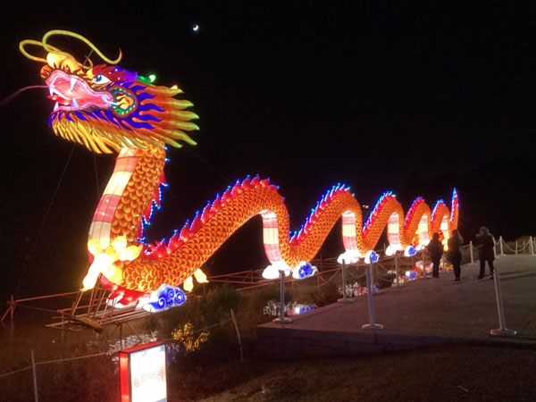 Chinese Dragon and reflections