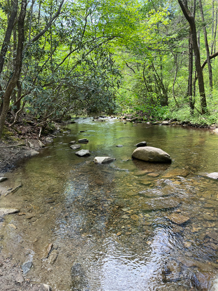 Flowing water alongside the trail in 2022