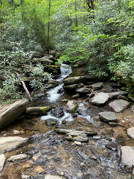 small streams of water