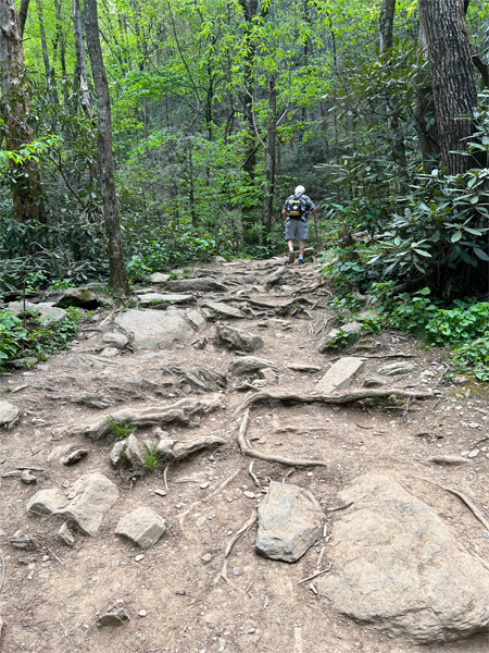 Lee Duquette on the trail