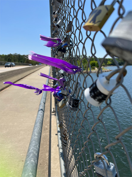 purple ribbons blowing in the light breeze