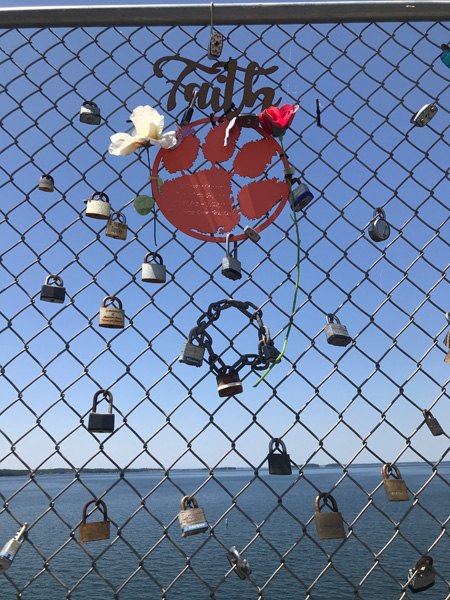 paw print and flowers on the fence