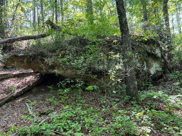 a big rock