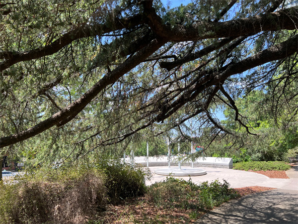 tree and monument