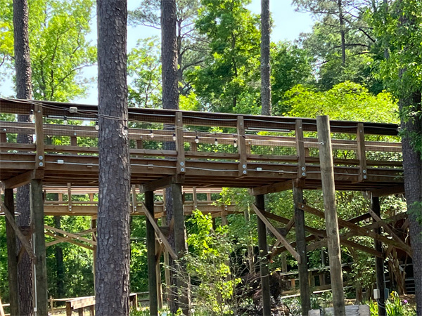 Childrens Garden bridge