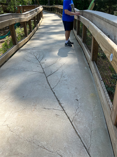 nature designs in the walkway