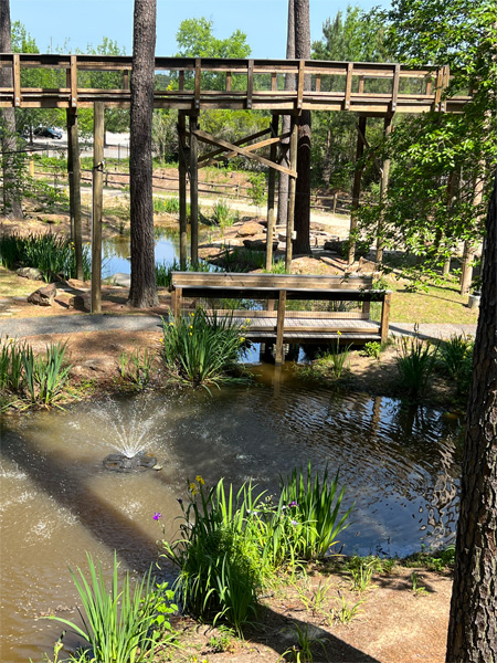 view from at the Childrens Garden