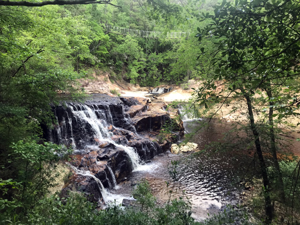 Carver's Falls and a swinging bridge