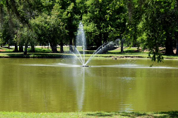 water fountain in the pond