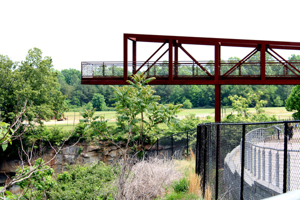 the raised walk platform