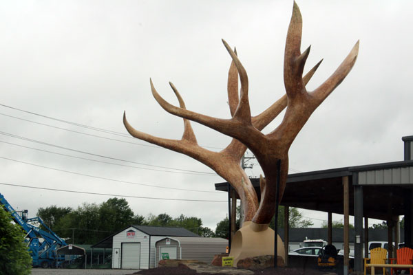 giant antlers