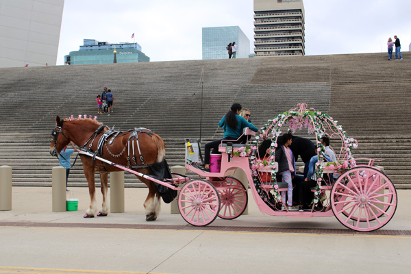 stairs, horses and coaches