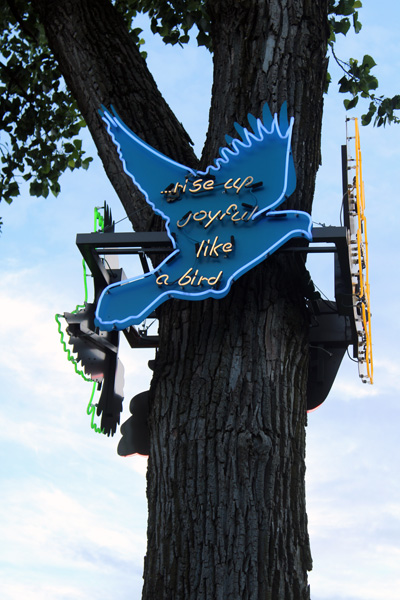 glowing neon signs on a tree
