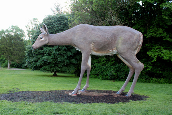 Fiberglass deer