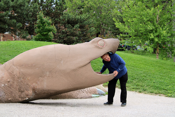 The big turtle has Lee Duquette in its mouth