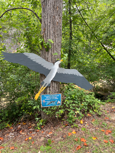 bird on a tree